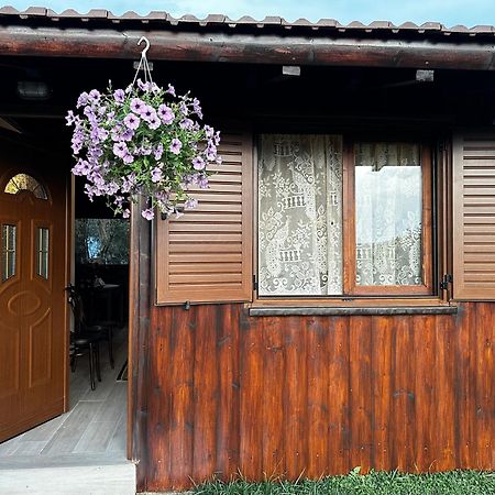 Guest House Gorani Berat Extérieur photo
