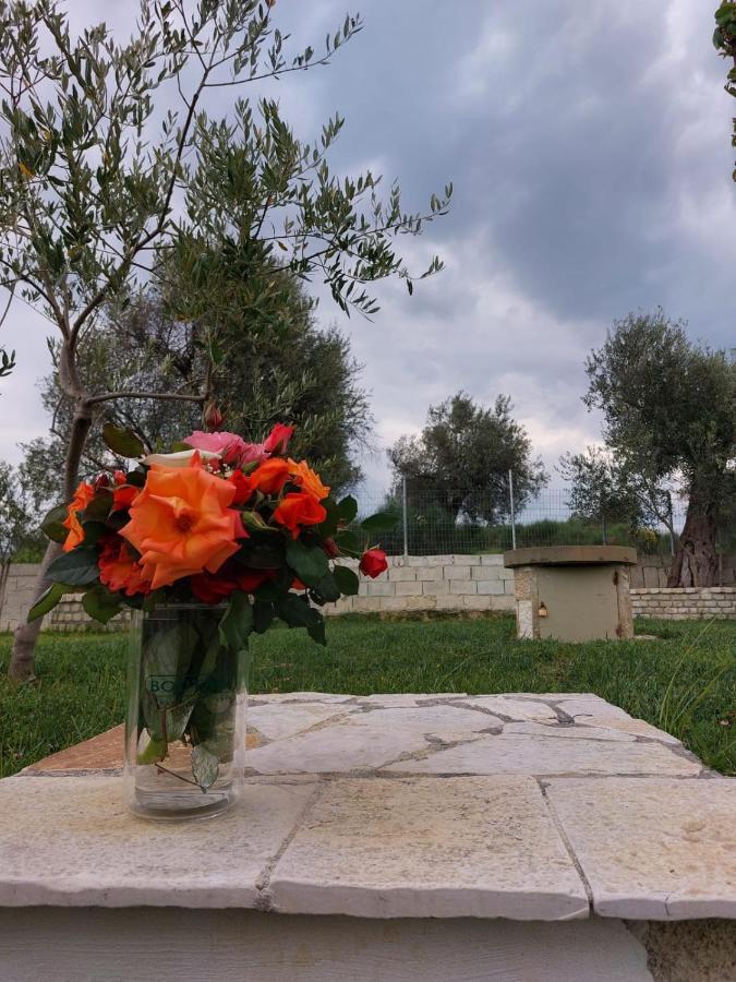 Guest House Gorani Berat Extérieur photo