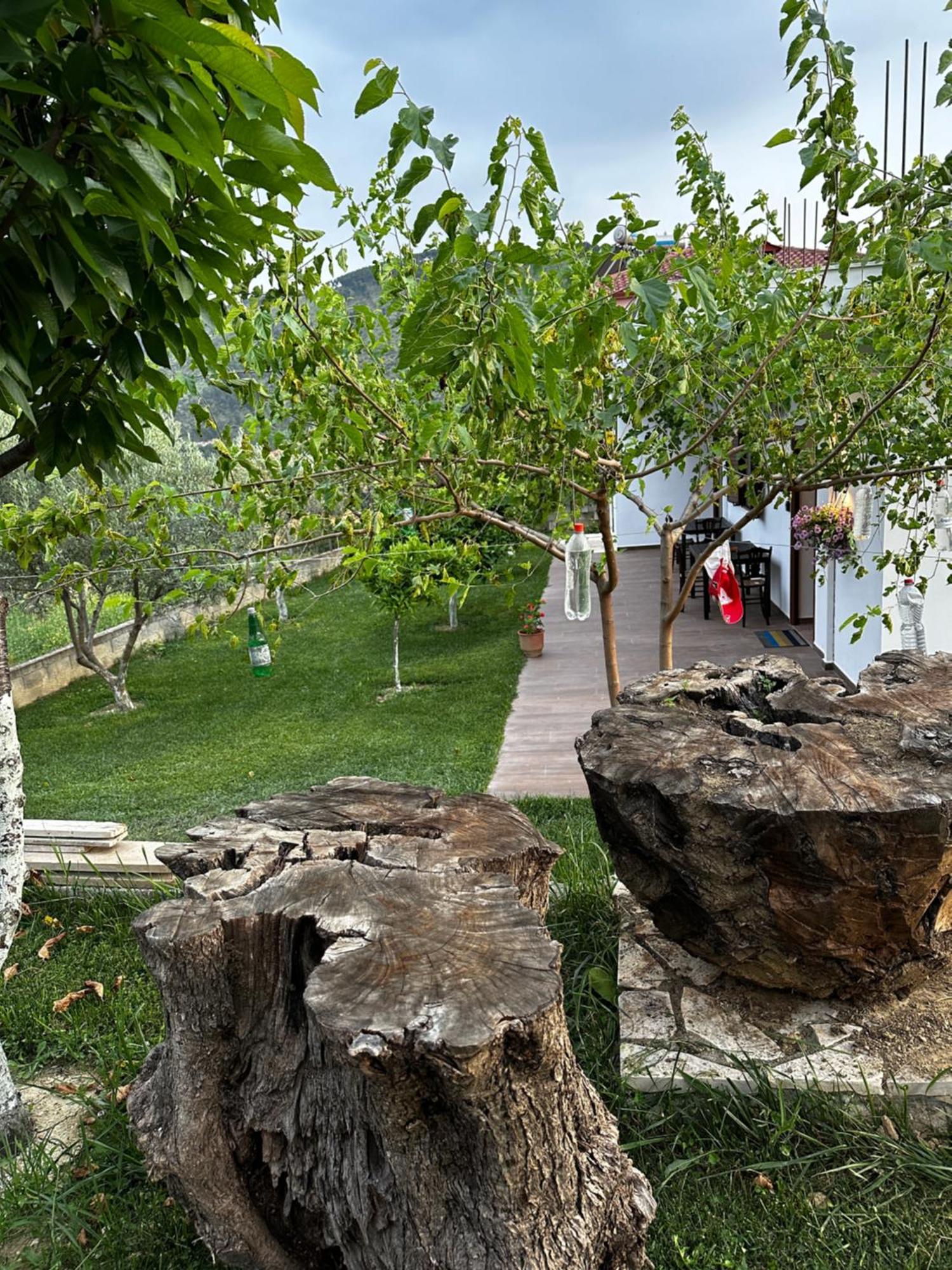 Guest House Gorani Berat Extérieur photo